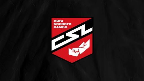 Социальные сети Лиги боевого самбо