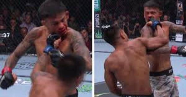 Брэндон Ройвал перебил Джошуа Вана на UFC 317, но все равно проиграл