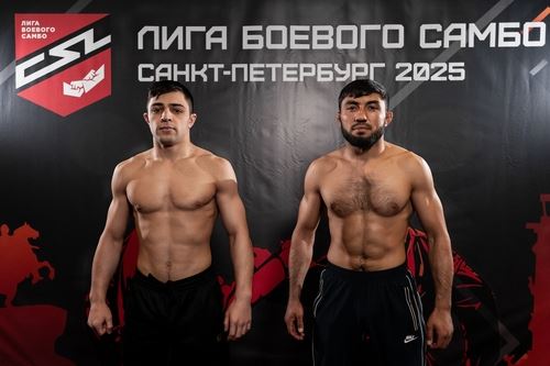ЛБС в Северной столице