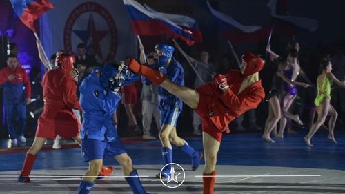 Дайджест новостей проекта "Zа самбо" (10.02-16.02)