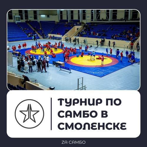 Дайджест новостей проекта "Zа самбо" (20.01-26.01)