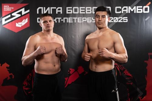 ЛБС в Северной столице