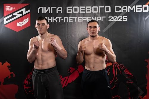 ЛБС в Северной столице