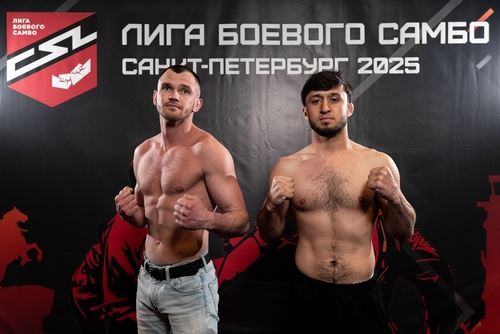 ЛБС в Северной столице