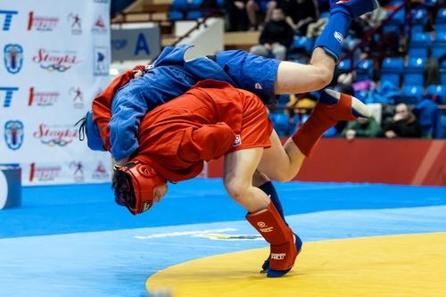 Дайджест новостей проекта "Zа самбо" (10.02-16.02)