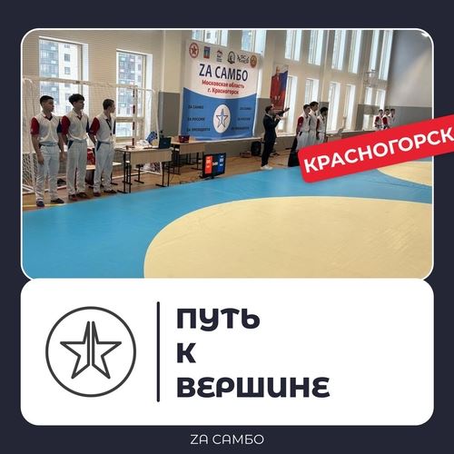 Дайджест новостей проекта "Zа самбо" (10.02-16.02)