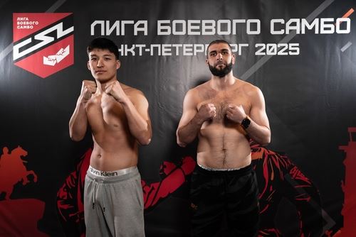 ЛБС в Северной столице