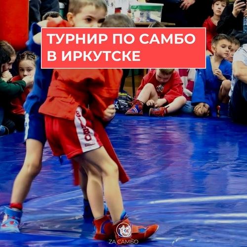 Дайджест новостей проекта "Zа самбо" (06.01-12.01)