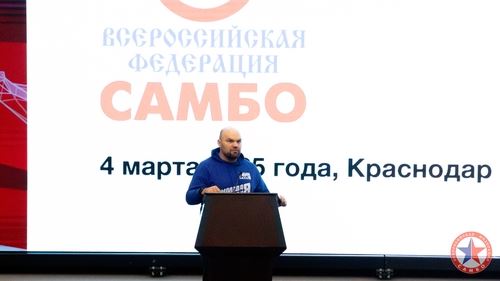 Антон Демидов назначен вице-президентом ВФС