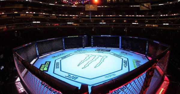 Александр Волков и Жаилтон Алмейда проведут бой на UFC 321